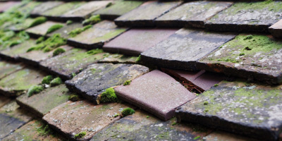Elm Park roof repair costs